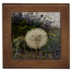 Light Ball Framed Tile by DimitriosArt