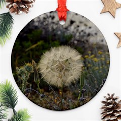 Light Ball Ornament (round) by DimitriosArt