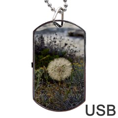 Light Ball Dog Tag Usb Flash (two Sides) by DimitriosArt