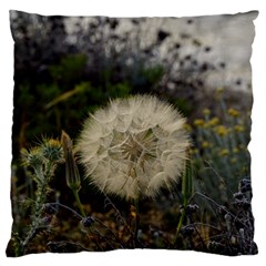 Light Ball Large Cushion Case (two Sides) by DimitriosArt