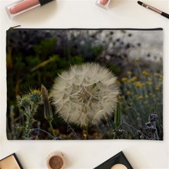 Light Ball Cosmetic Bag (xxxl) by DimitriosArt