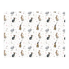 Cute Rabbit Double Sided Flano Blanket (mini)  by SychEva