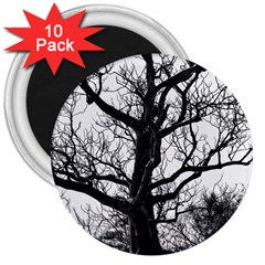 Shadows In The Sky 3  Magnets (10 Pack) 