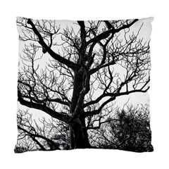 Shadows In The Sky Standard Cushion Case (two Sides) by DimitriosArt