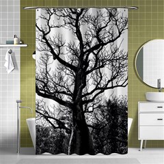 Shadows In The Sky Shower Curtain 48  X 72  (small)  by DimitriosArt