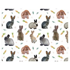 Cute Bunny Double Sided Flano Blanket (medium)  by SychEva