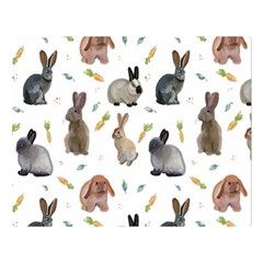 Cute Bunny Double Sided Flano Blanket (large)  by SychEva