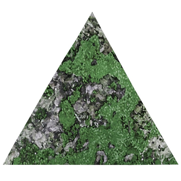 Modern Camo Grunge Print Wooden Puzzle Triangle