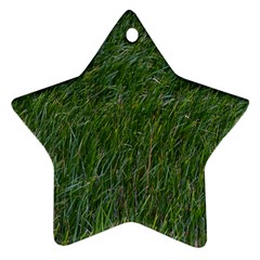 Green Carpet Ornament (star) by DimitriosArt