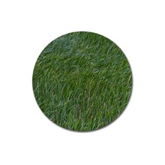 Green Carpet Magnet 3  (round) by DimitriosArt