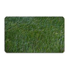 Green Carpet Magnet (rectangular) by DimitriosArt