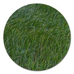 Green Carpet Magnet 5  (round) by DimitriosArt