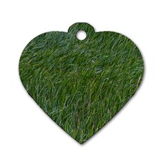 Green Carpet Dog Tag Heart (two Sides) by DimitriosArt