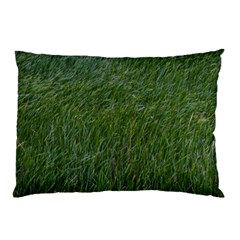 Green Carpet Pillow Case (two Sides) by DimitriosArt