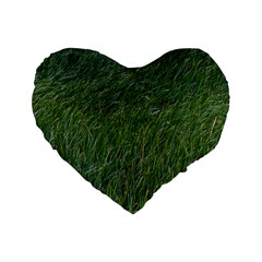 Green Carpet Standard 16  Premium Heart Shape Cushions by DimitriosArt