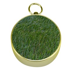 Green Carpet Gold Compasses by DimitriosArt