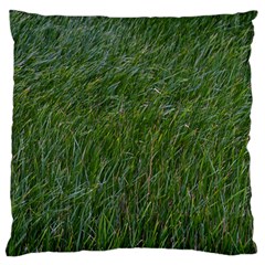 Green Carpet Large Flano Cushion Case (two Sides) by DimitriosArt