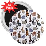 Funny Bunny 3  Magnets (10 pack)  Front