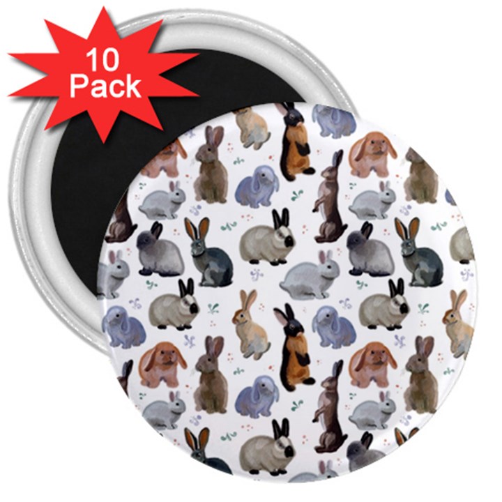 Funny Bunny 3  Magnets (10 pack) 