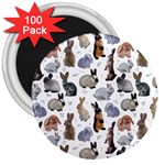 Funny Bunny 3  Magnets (100 pack) Front