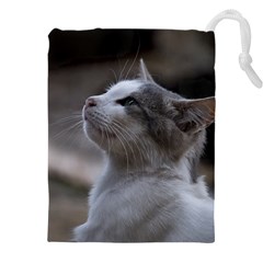 Kitty Drawstring Pouch (4xl) by DimitriosArt