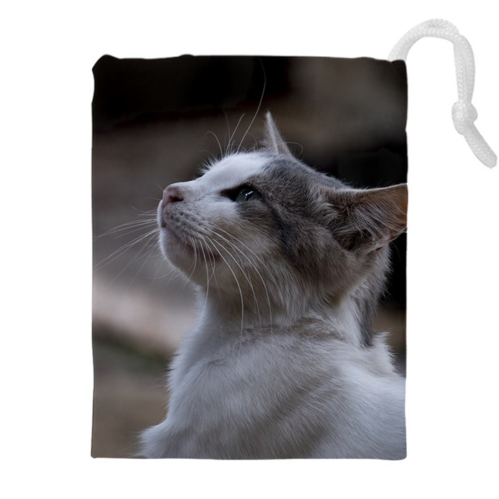 Kitty Drawstring Pouch (4XL)