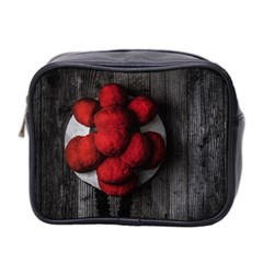 Bollenhut Mini Toiletries Bag (two Sides) by schwarzwaldfoto