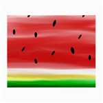 Painted watermelon pattern, fruit themed apparel Small Glasses Cloth Front