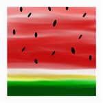 Painted watermelon pattern, fruit themed apparel Medium Glasses Cloth Front