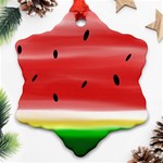 Painted watermelon pattern, fruit themed apparel Snowflake Ornament (Two Sides) Front