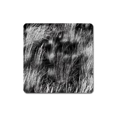 Field Of Light Abstract 1 Square Magnet by DimitriosArt