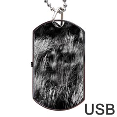 Field Of Light Abstract 1 Dog Tag Usb Flash (one Side) by DimitriosArt