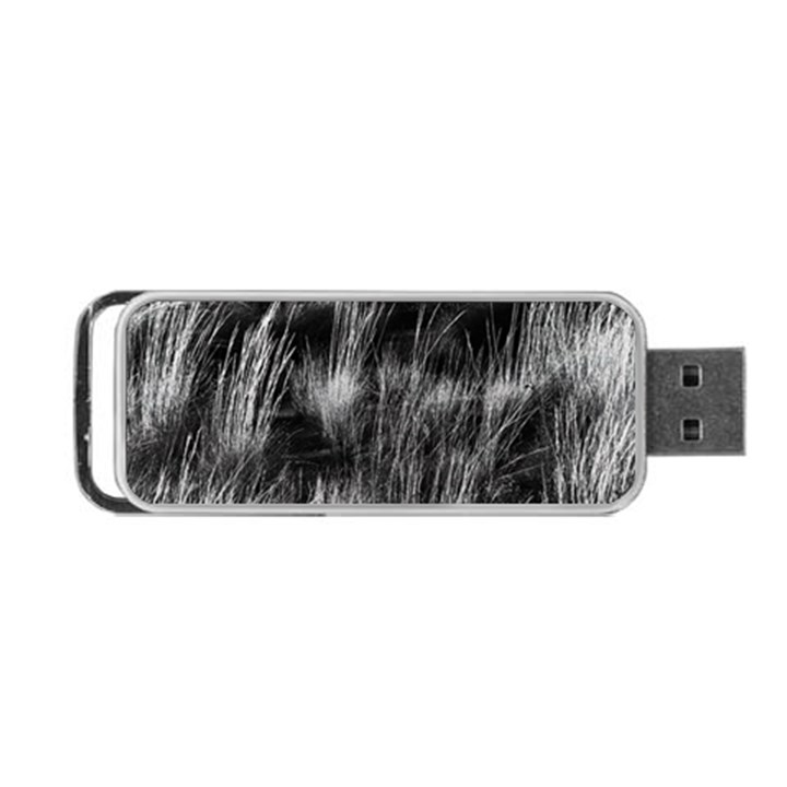 Field of light abstract 1 Portable USB Flash (One Side)