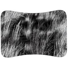 Field Of Light Abstract 1 Velour Seat Head Rest Cushion by DimitriosArt