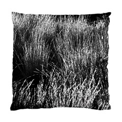 Field Of Light Abstract 2 Standard Cushion Case (two Sides) by DimitriosArt