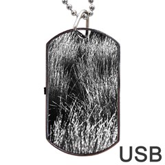 Field Of Light Abstract 2 Dog Tag Usb Flash (one Side) by DimitriosArt