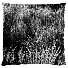 Field Of Light Abstract 2 Standard Flano Cushion Case (one Side) by DimitriosArt