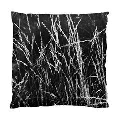 Field Of Light Abstract 3 Standard Cushion Case (one Side) by DimitriosArt