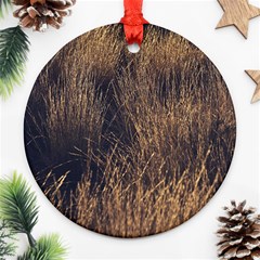 Field Of Light Pattern 1 Ornament (round) by DimitriosArt