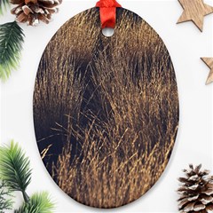 Field of light pattern 1 Ornament (Oval)