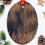 Field of light pattern 1 Ornament (Oval) Front