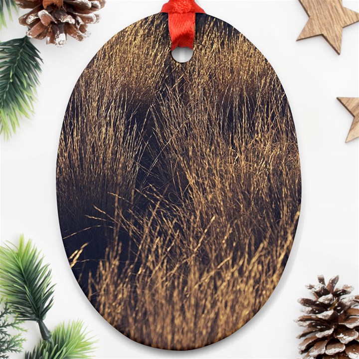 Field of light pattern 1 Ornament (Oval)