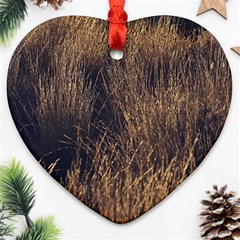 Field of light pattern 1 Ornament (Heart)