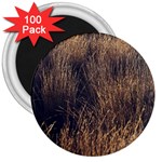 Field of light pattern 1 3  Magnets (100 pack) Front