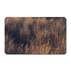 Field Of Light Pattern 1 Magnet (rectangular) by DimitriosArt