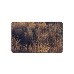 Field Of Light Pattern 1 Magnet (name Card) by DimitriosArt