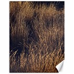 Field of light pattern 1 Canvas 18  x 24  17.8 x23.08  Canvas - 1