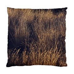 Field Of Light Pattern 1 Standard Cushion Case (one Side) by DimitriosArt