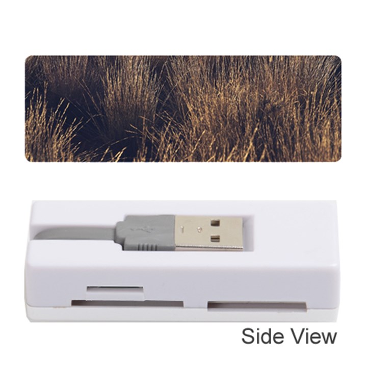 Field of light pattern 1 Memory Card Reader (Stick)