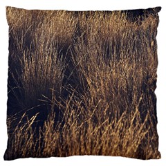 Field of light pattern 1 Large Cushion Case (Two Sides)